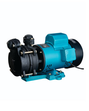 Jeevan Magic Section Pumps